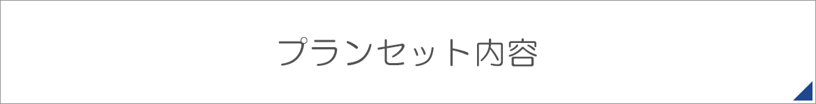 プランセット内容